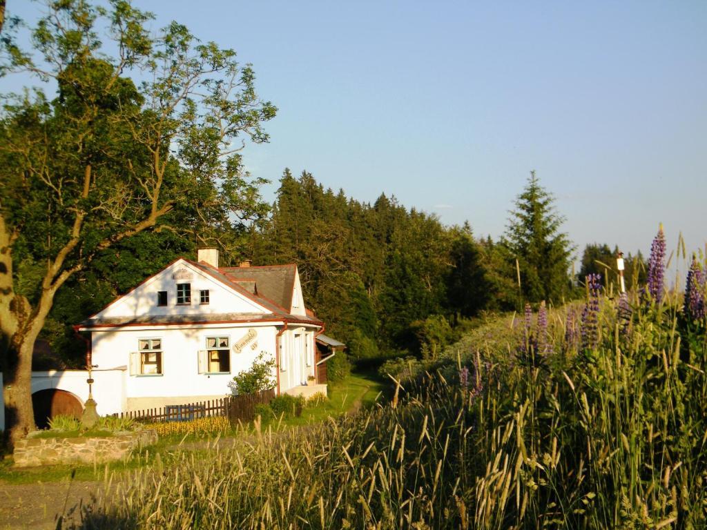 Rainmuehle Villa Marianske Lazne Exterior photo